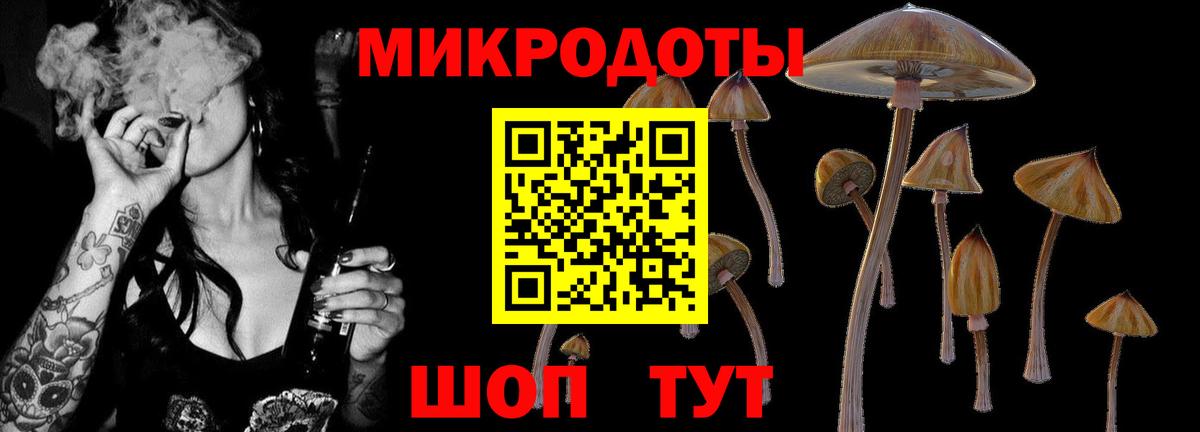 Псилоцибиновые грибы GOLDEN TEACHER  Галлюциногенные грибы ЛСД  Кирово-Чепецк  Вход с VPN 